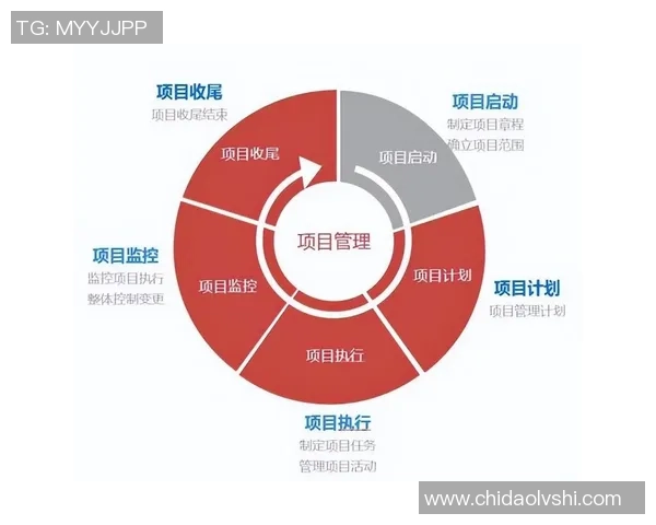 南京羽毛球队团队协作的成功秘诀与实践探索分析